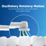 مسواک برقی اورال-بی مدل Cross Action Vitality 100