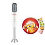 گوشت کوب برقی مولینکس مدل DD642110