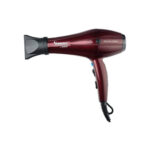 سشوار حرفه ای پرینسلی مدل PR250AT