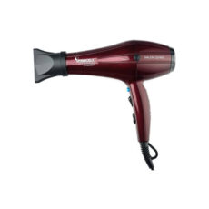 سشوار حرفه ای پرینسلی مدل PR250AT