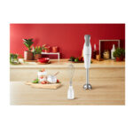 گوشت کوب برقی مولینکس مدل DD553110