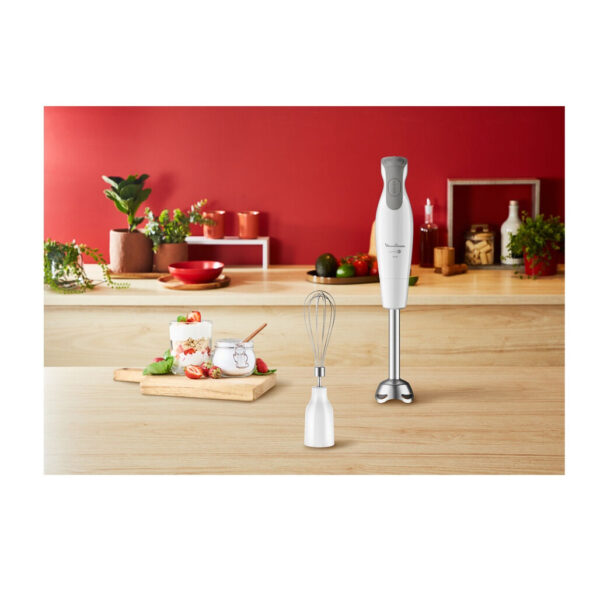 گوشت کوب برقی مولینکس مدل DD553110