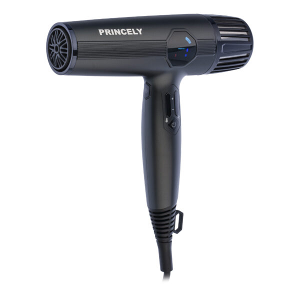 سشوار پرینسلی مدل PR280AT