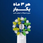 مسواک برقی اورال-بی مدل کراس اکشن