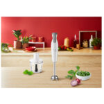 گوشت کوب برقی مولینکس مدل DD553110