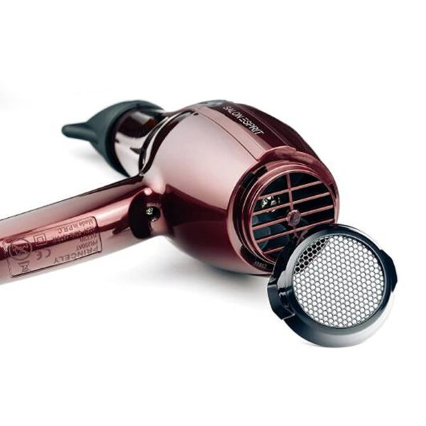سشوار حرفه ای پرینسلی مدل PR250AT