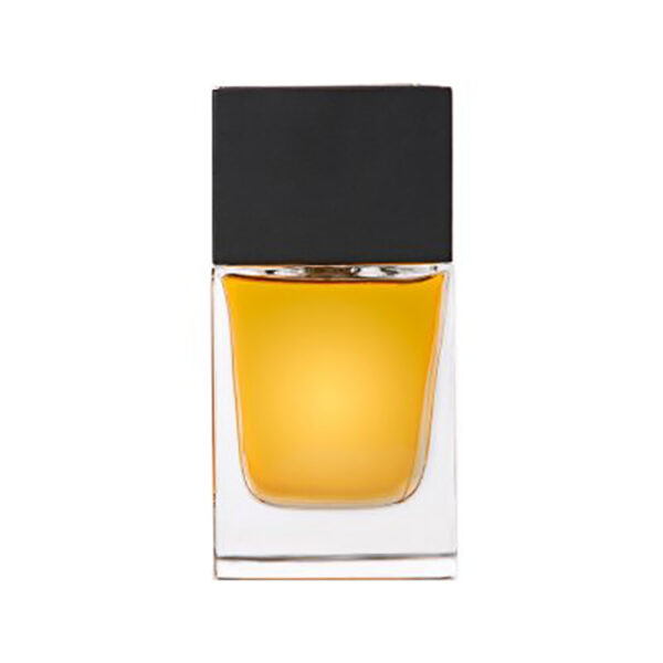 ادو پرفیوم مردانه دلئون مدل NOBLE OUD حجم 100 میلی لیتر
