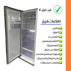 یخچال و فریزر 40 فوت دوقلو استیلون مدل economy2024