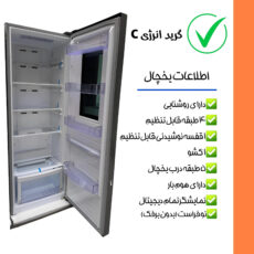 یخچال و فریزر 40 فوت دوقلو استیلون مدل economy2024