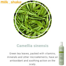 شامپو مو میلک‌ شیک مدل DEEP DETOX حجم 300 میلی لیتر