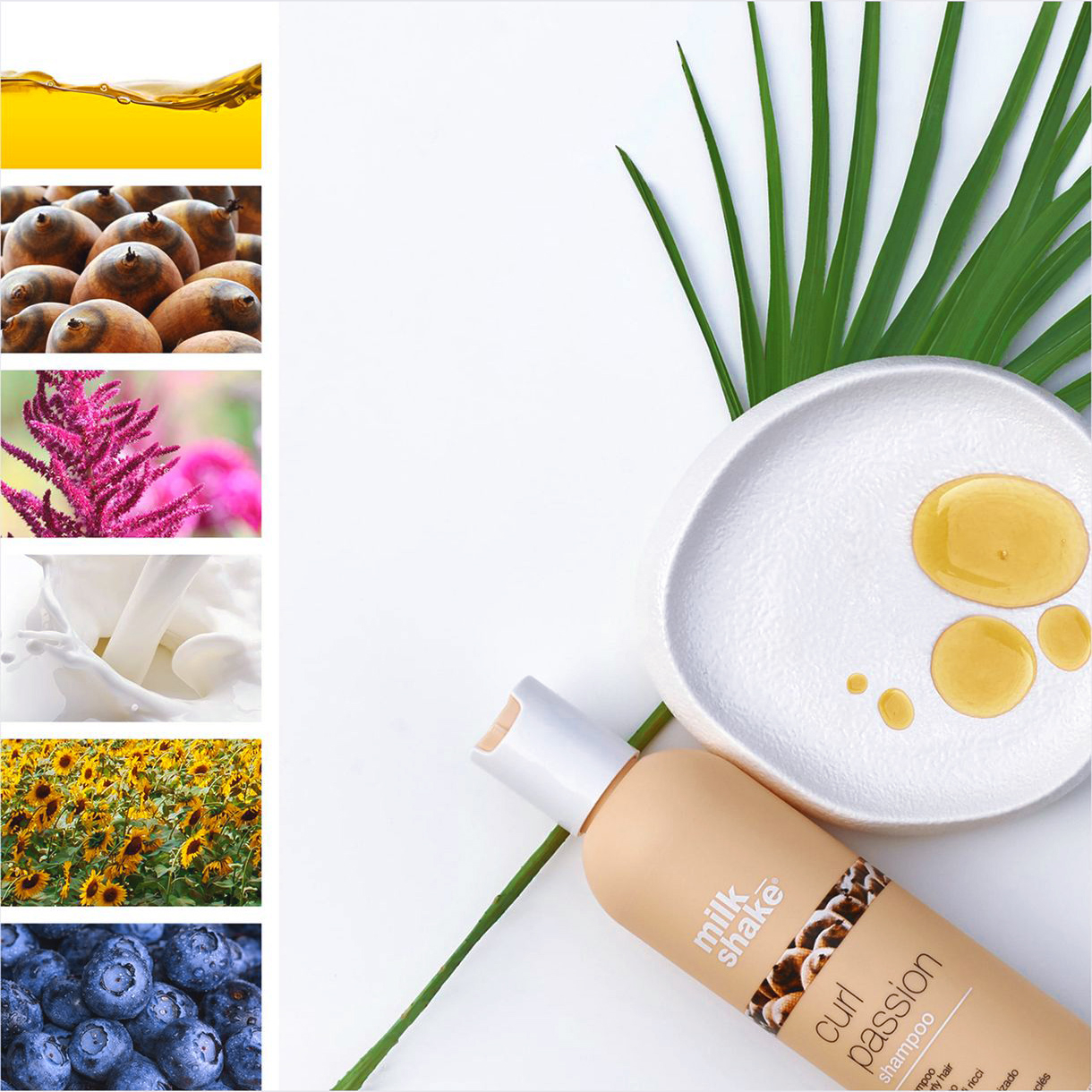 شامپو مو میلک شیک مدل Curls حجم 300 میلی لیتر