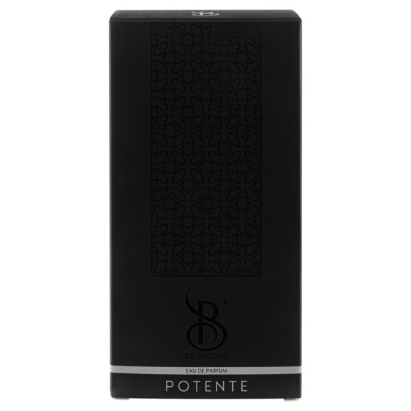 ادو پرفیوم مردانه برندینی مدل Potente حجم 90 میلی لیتر