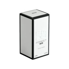 ادوپرفیوم مردانه ای جی استایل مدل فارست با رایحه خنک حجم 100 میلی‌لیتر