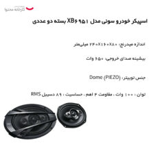 اسپیکر خودرو سونی مدل XB6951 بسته دو عددی