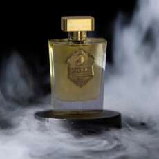 ادو پرفیوم مردانه جانرابر مدل یاغمور حجم 100 میلی لیتر