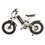 دوچرخه برقی نگین مدل PN1X سایز طوقه 20