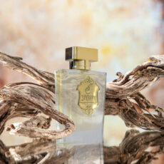 ادو پرفیوم مردانه جانرابر مدل یاغمور حجم 100 میلی لیتر