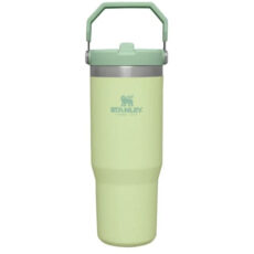 تراول ماگ استنلی مدل FLIP STRAW TUMBLER گنجایش 0.88 لیتر