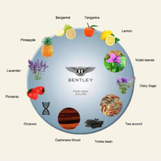 ادو تویلت مردانه بنتلی مدل For Men Azure حجم 100 میلی لیتر