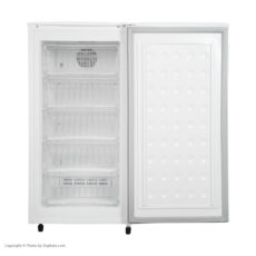 فریزر 9 فوت ایستکول مدل 2999