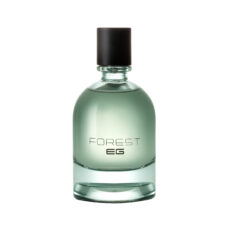 ادوپرفیوم مردانه ای جی استایل مدل فارست با رایحه خنک حجم 100 میلی‌لیتر