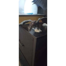 اکشن فیگور مکفارلن تویز مدل اژدهای بازی تاج و تخت گیم اف ترونز طرح Dragon Game of Thrones