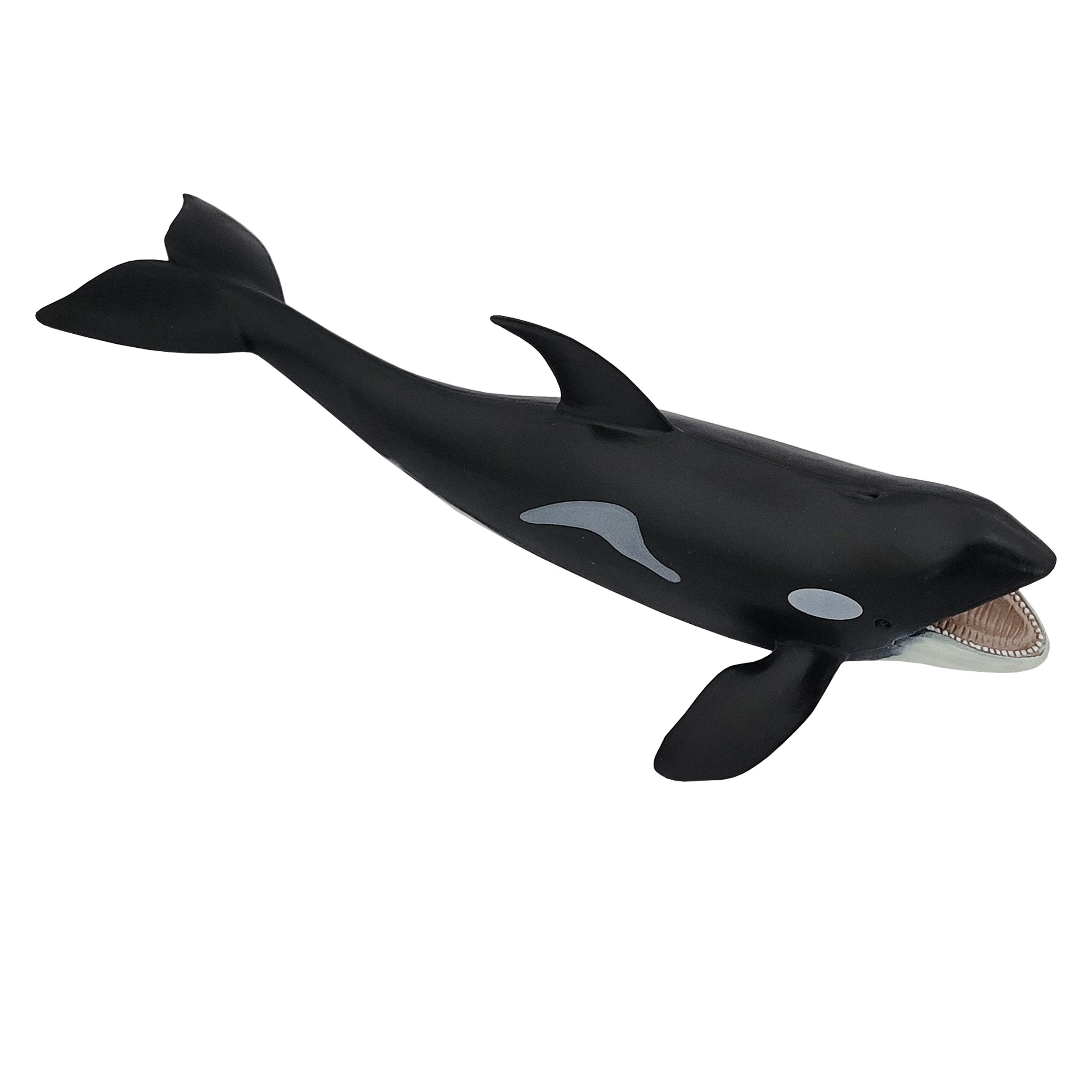 فیگور طرح حیوانات دریایی مدل نهنگ قاتل کد 09090