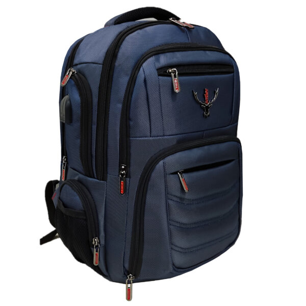 کوله پشتی آنتلر مدل Vivo M5444