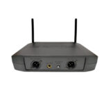میکروفن بی سیم 2 کانال مدل شور GLXD4