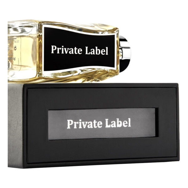 ادو پرفیوم مردانه روپیکو مدل PRIVATE LABEL با رایحه گرم حجم 100 میلی لیتر