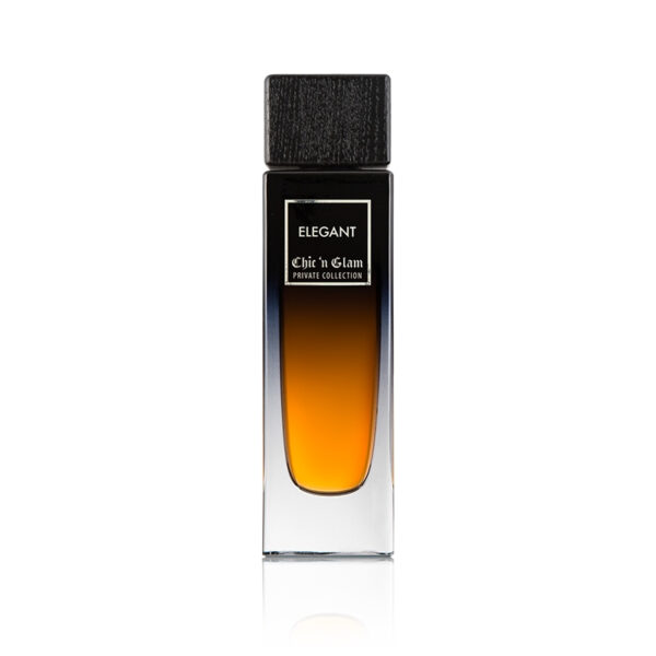 ادو پرفیوم مردانه چیکن گلم مدل Elegant Men با رایحه گرم حجم 100 میلی لیتر