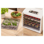میوه و سبزی خشک کن سنکور مدل SFD 6500