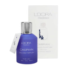 ادو پرفیوم مردانه لدورا مدل Fragrance با رایحه خنک حجم ۱۰۰ میلی لیتر