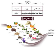 ادو پرفیوم مردانه ایفوریا مدل لالیک بلک با رایحه گرم و تلخ حجم 100 میلی لیتر