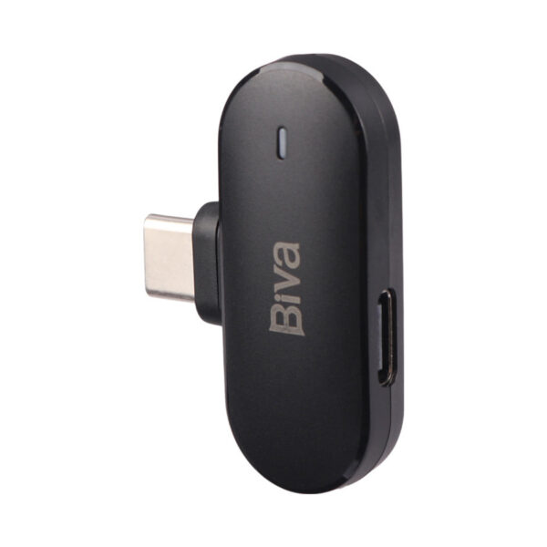 ست میکروفن بی سیم بیوا مدل WM-04