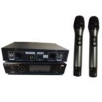 ست میکروفن بی سیم نیوساند مدل DX-U222