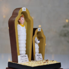 فیگور مدل تن تن و میلو