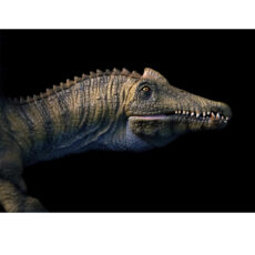 فیگور تی ان جی مدل دایناسور طرح Spinosaurus