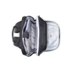 کوله پشتی لپ تاپ دلسی مدل PARVIS PLUS کد 3944603 مناسب برای لپ تاپ  تا 15.6 اینچی