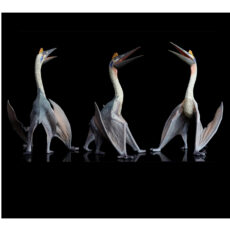 فیگور تی ان جی مدل دایناسور طرح QUETZALCOATLUS