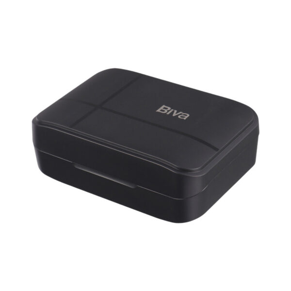 ست میکروفن بی سیم بیوا مدل WM-04