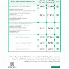 کاور لپ تاپ پِروین مدل LC-24 مناسب برای لپ تاپ 13 اینچی