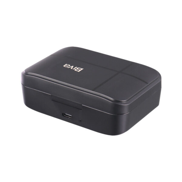 ست میکروفن بی سیم بیوا مدل WM-04