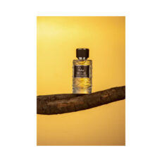 ادو پرفیوم مردانه هایدور مدل نیکولاس با رایحه گرم حجم 100 میلی لیتر