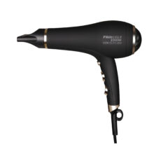 سشوار خانگی پرنسلی مدل PR248AT