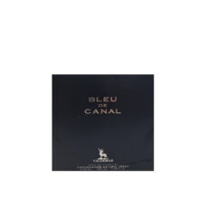 ادو پرفیوم والدمار مردانه مدل Blue De Chanel با رایحه تلخ حجم 100 میلی لیتر