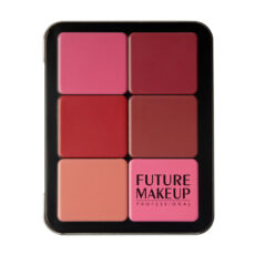 پالت رژ و رژگونه فیوچر میکاپ مدل High Definition شماره 102