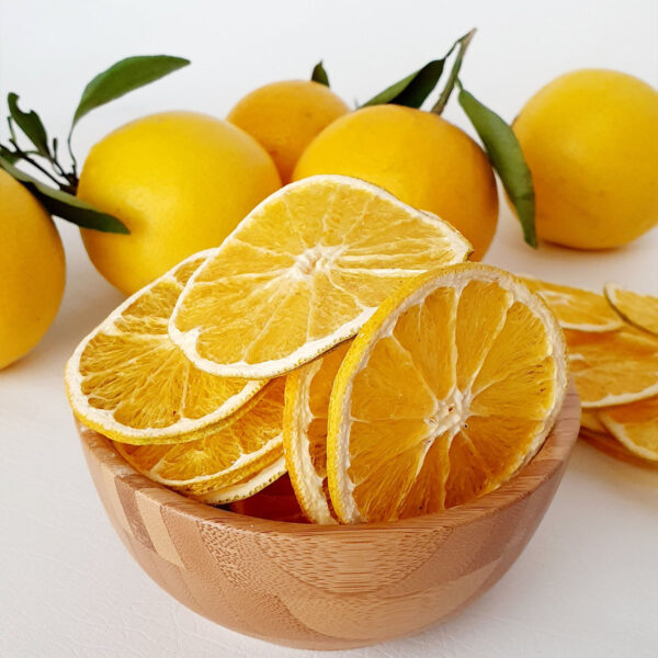 میوه و سبزی خشک کن مدل 15