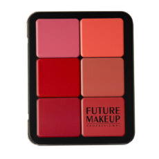 پالت کانتور و رژگونه فیوچر میکاپ مدل High Definition شماره 103