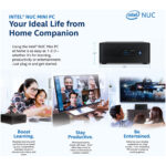 کامپیوتر کوچک اینتل مدل NUC11PAHi70Z-8-512